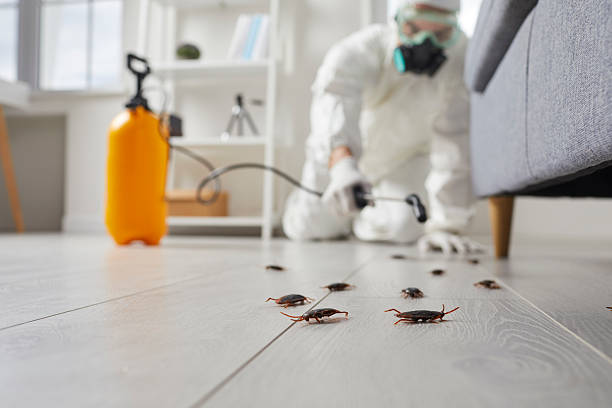 Commercial Kitchen Cockroach Control in West Lafayette
